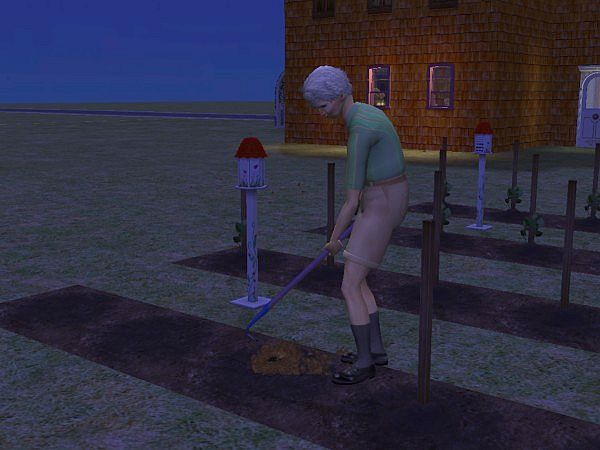 Screenshot Sims 2