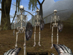 Screenshot Morrowind.