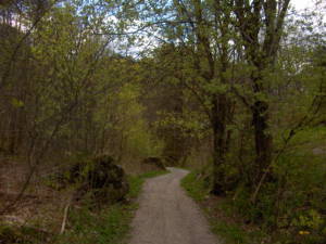 Narrow path