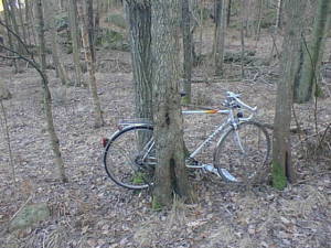 Bike in forest