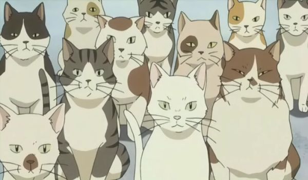 Cats, from anime Tonagura