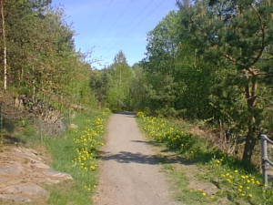 Spring road