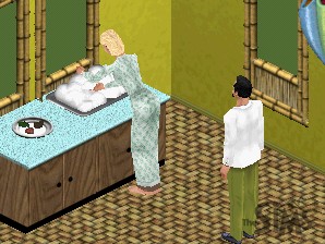 Screenshot, The Sims