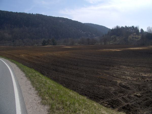 Spring-plowed fields