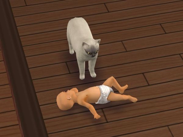 Screenshot Sims 2: Cat and baby