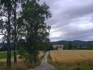 Country road