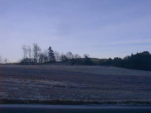 Frozen fields