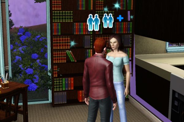 Sims in front of a big classic bookshelf
