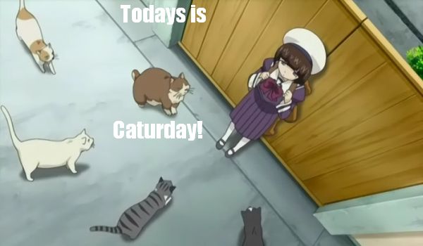 Screenshot anime Tonagura w/cat macro