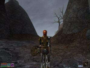 Screenshot Morrowind