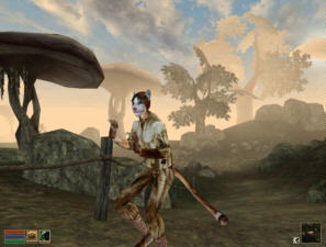 Screenshot Morrowind