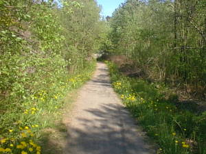 Spring path