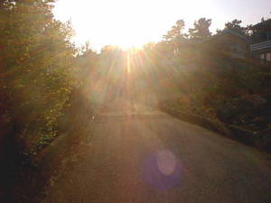 Road, viewed against the sun