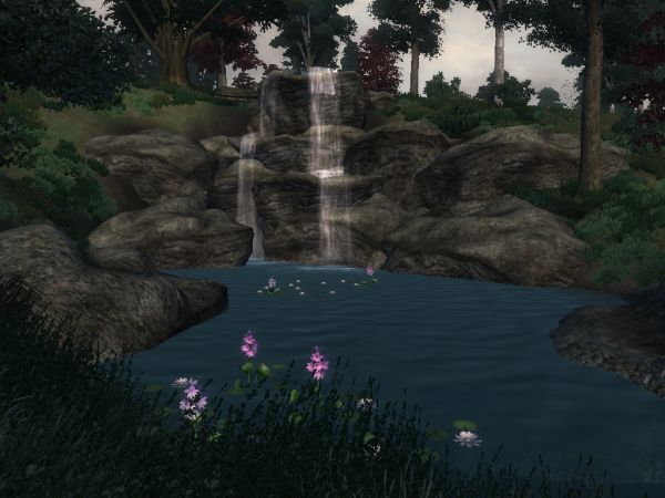 Peaceful pond