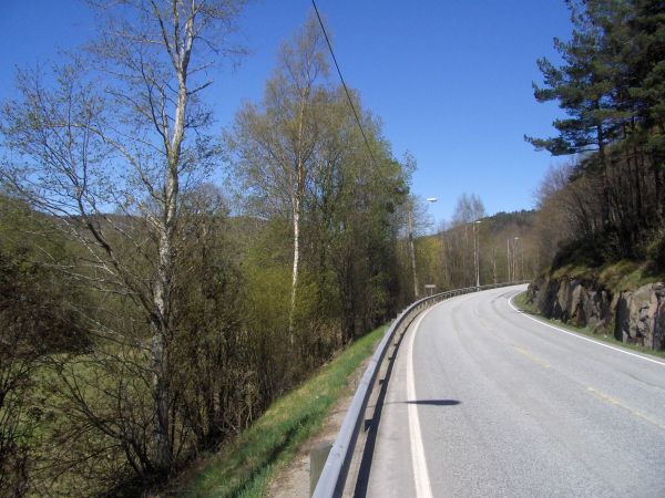Road in spring