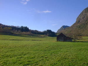 Small barn on meadow