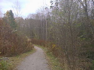 Late autumn path