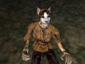 Screenshot Morrowind