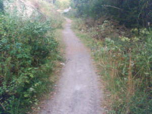 Narrow path