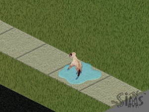 Screenshot The Sims