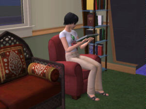 Screenshot Sims2