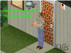 Sims screenshot + text