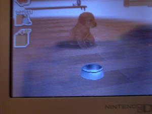 Blurry photo of Nintendogs